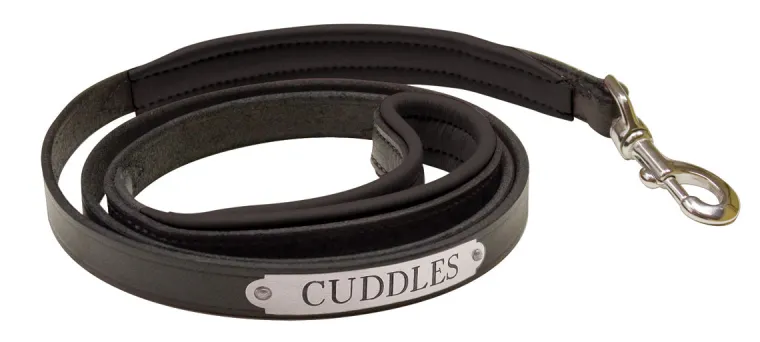 LOSwVpRe_12.webp Outlet PERRIS LEATHER Perri’s® Padded Leather Nameplate Dog Leash