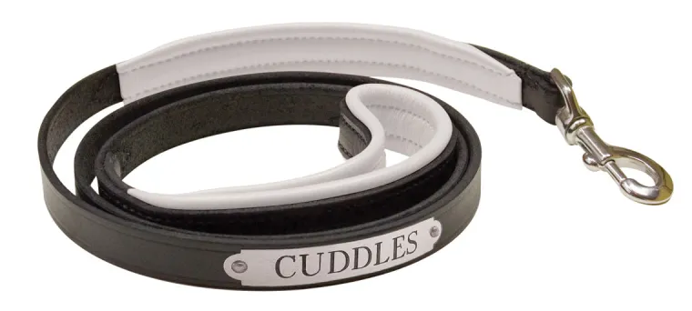 LOSwVpRe_5.webp Outlet PERRIS LEATHER Perri’s® Padded Leather Nameplate Dog Leash