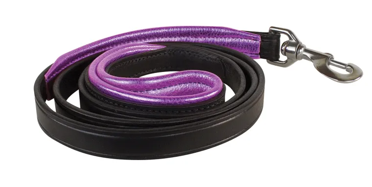 LOSwVpRe_6.webp Outlet PERRIS LEATHER Perri’s® Padded Leather Nameplate Dog Leash