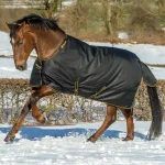New TOKLAT ORIGINALS Bucas Irish Extra Classic Heavyweight Turnout Blanket