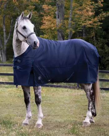 Hot CWEAR BRANCH Rider’s International™ Supreme 100 Gram Turnout Blanket