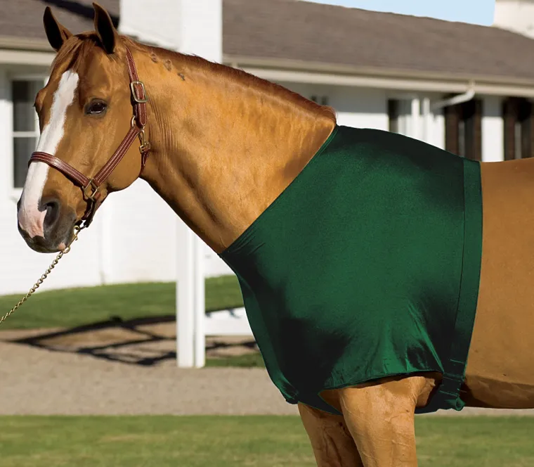 MTxaqHWo_1.webp Sale INT RIDING HELMET Stretchies® Shoulder Guard