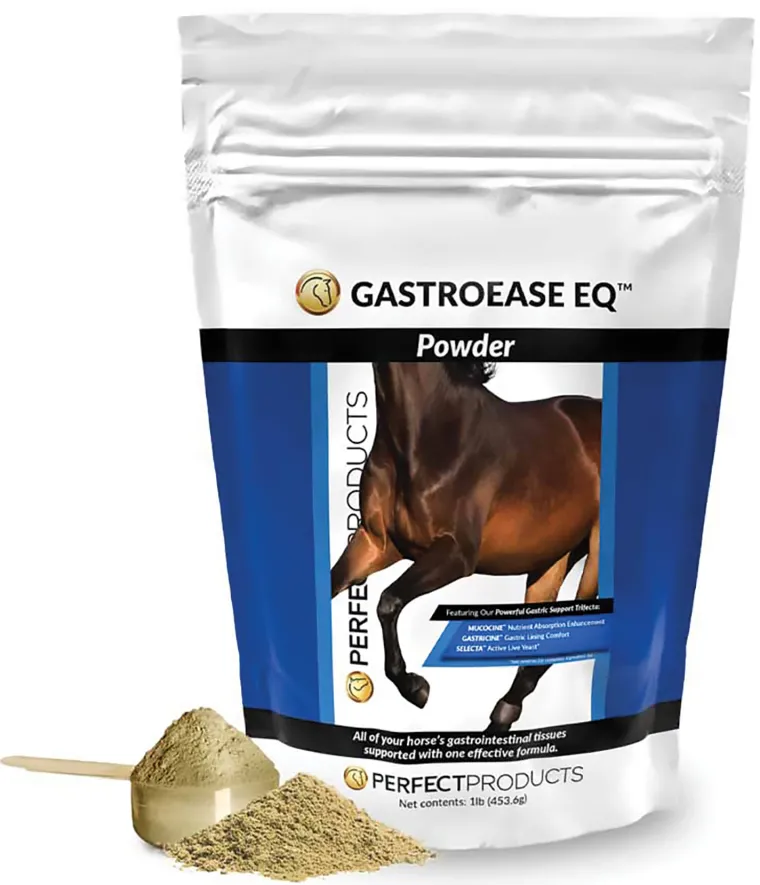 MXcSiTFv_0.webp Fashion PERFECT PRODUCTS GastroEase EQ™ Digestive Support