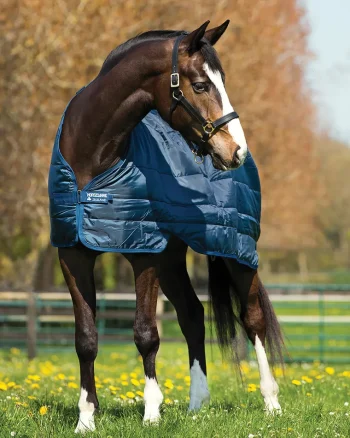 Best HORSEWARE ® Ireland 200 Gram Blanket Liner Navy/Navy