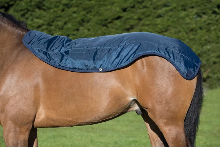 MsMvIccC_1.webp Sale HORSEWARE ® Ireland Rambo® Summer Series Turnout Sheet