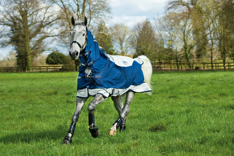 MsMvIccC_4.webp Sale HORSEWARE ® Ireland Rambo® Summer Series Turnout Sheet