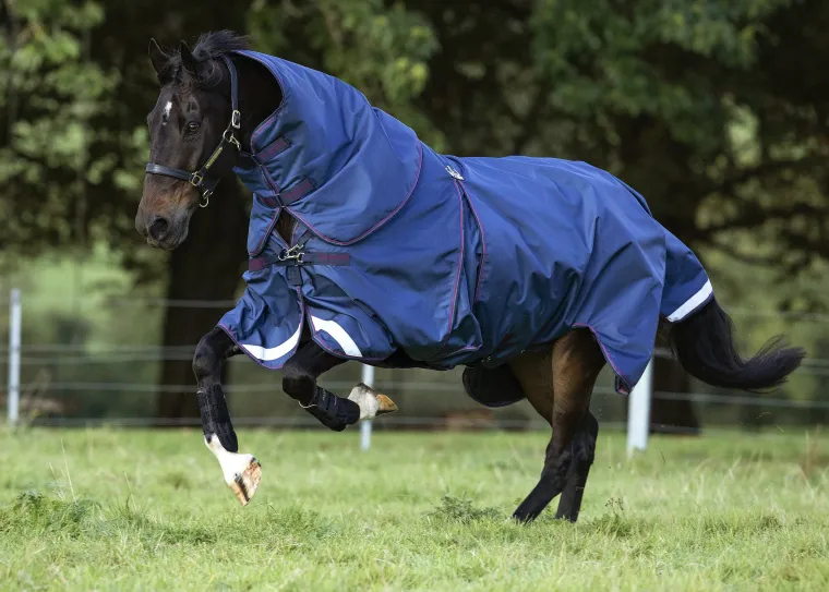 Mycrbdoi_0.webp Online HORSEWARE ® Ireland Rambo® Optimo Turnout Blanket