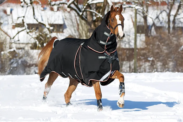 Mycrbdoi_2.webp Online HORSEWARE ® Ireland Rambo® Optimo Turnout Blanket