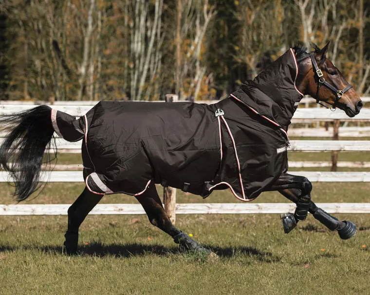 Mycrbdoi_5.webp Online HORSEWARE ® Ireland Rambo® Optimo Turnout Blanket