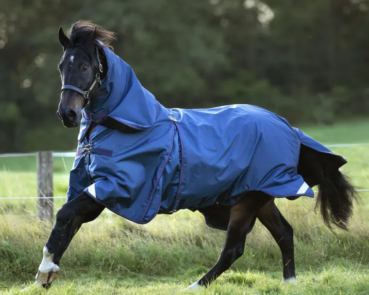 Mycrbdoi_8.webp Online HORSEWARE ® Ireland Rambo® Optimo Turnout Blanket