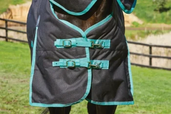 Best WEATHERBEETA ® Green-Tec 900D Detach-A-Neck Lite Plus Black/Bottle Green