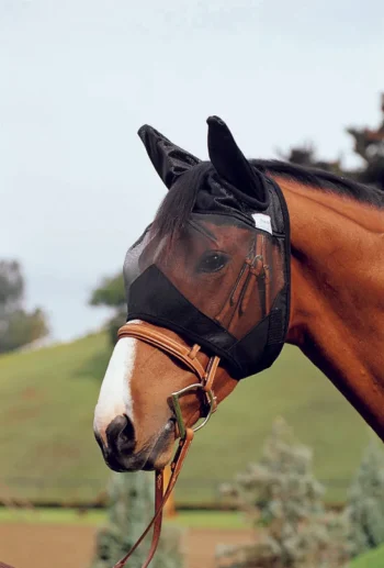 Online CASHEL COMPANY Cashel® Quiet Ride™ Fly Mask Black
