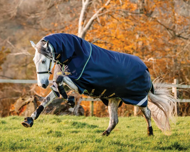 NWyMjOiy_1.webp Best HORSEWARE ® Ireland Rambo® Duo Force 2.0 Turnout Blanket Navy/Teal