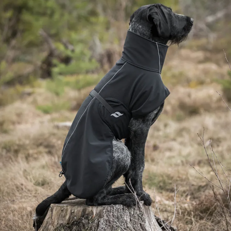 NlRQScBB_2.webp Fashion BACK ON TRACK BOT LL Back on Track® Bark Large Dog Coat