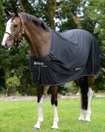 Fashion TOKLAT ORIGINALS Bucas Power Classic Cooler