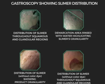 Discount EQUINE ELIXIRS INC Equine Elixirs Slimer Liquid Gastric Support