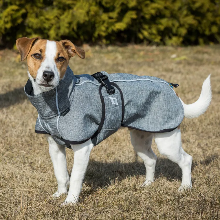 OleTIGQn_1.webp New BACK ON TRACK BOT LL Back on Track® Bark Small Dog Coat