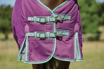 Best WEATHERBEETA ® Pony ComFiTec™ Premier Free II Detach-A-Neck Medium-Weight Turnout Blanket Purple/Navy/Mint