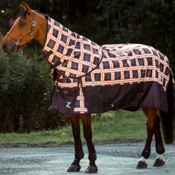 Best EQUINAVIA Horze Nevada 1200D Lightweight Turnout Sheet