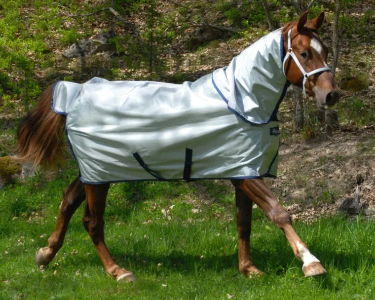 PWkdjXkg_1.webp Best TOKLAT ORIGINALS Bucas Power Classic Lightweight Turnout Blanket Silver