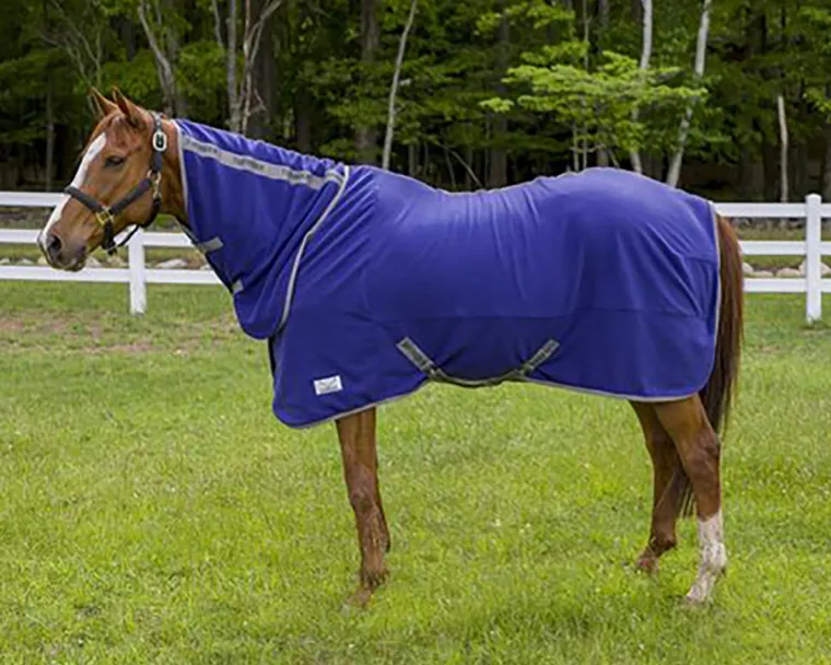PcDtInRs_0.webp Sale JPC EQUESTRIAN TuffRider® Cooler Sheet Combo