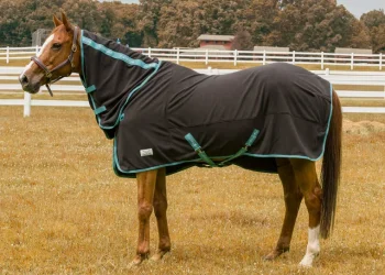 Sale JPC EQUESTRIAN TuffRider® Cooler Sheet Combo