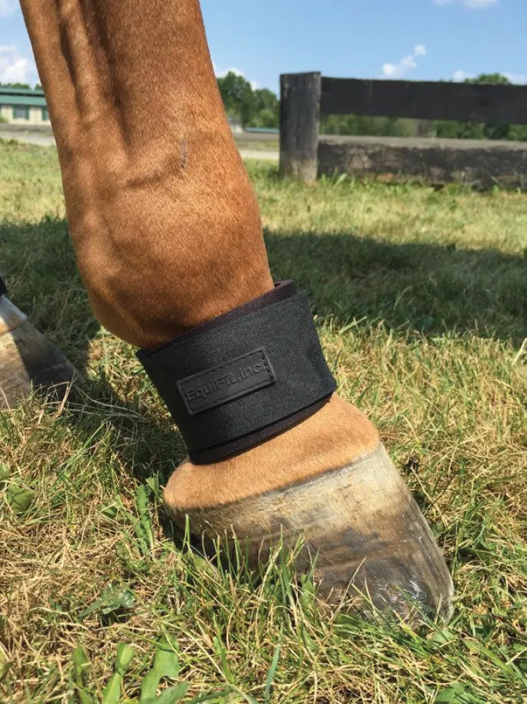 PuNmTsbY_1.webp Online EQUIFIT ® Pastern Wrap Black