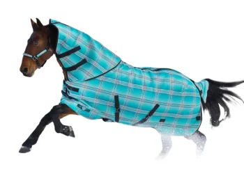 Online KENSINGTON ™ SuperMesh 180 Gram Medium-Weight Turnout Blanket