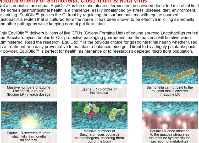 QILNkJnH_1.webp Clearance BLUEGRASS ANIMAL EquiOtic™ 60cc Syringe