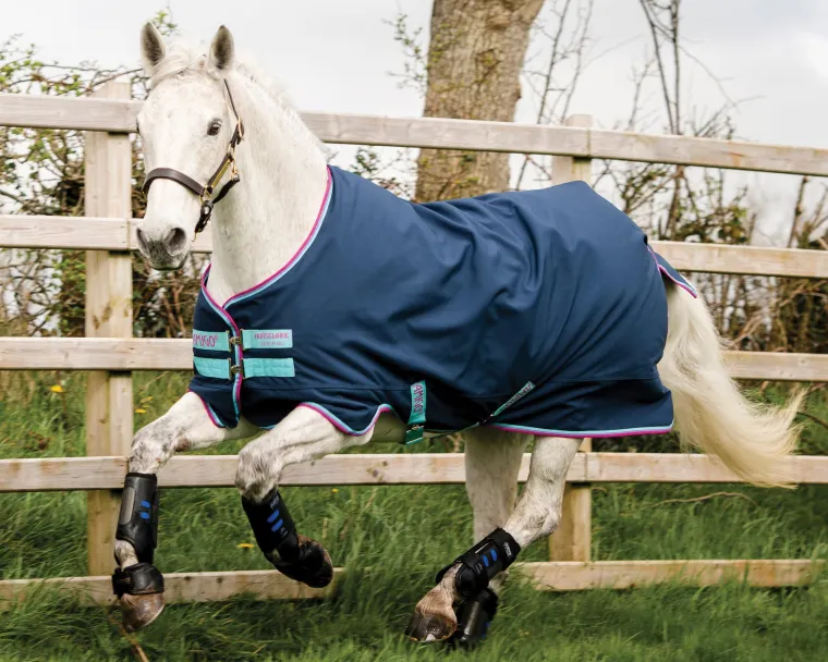 QSxahIEL_2.webp Hot HORSEWARE ® Ireland Amigo® Pony Hero 900D Medium-Weight Turnout Blanket