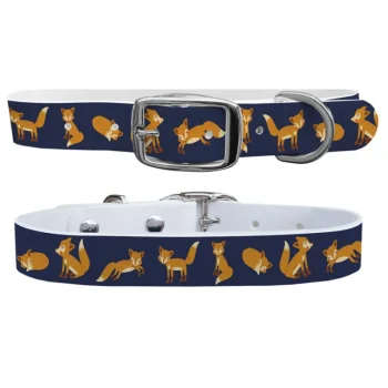 Fashion SWYFT PRINTS/C4 C4 Dog Collar