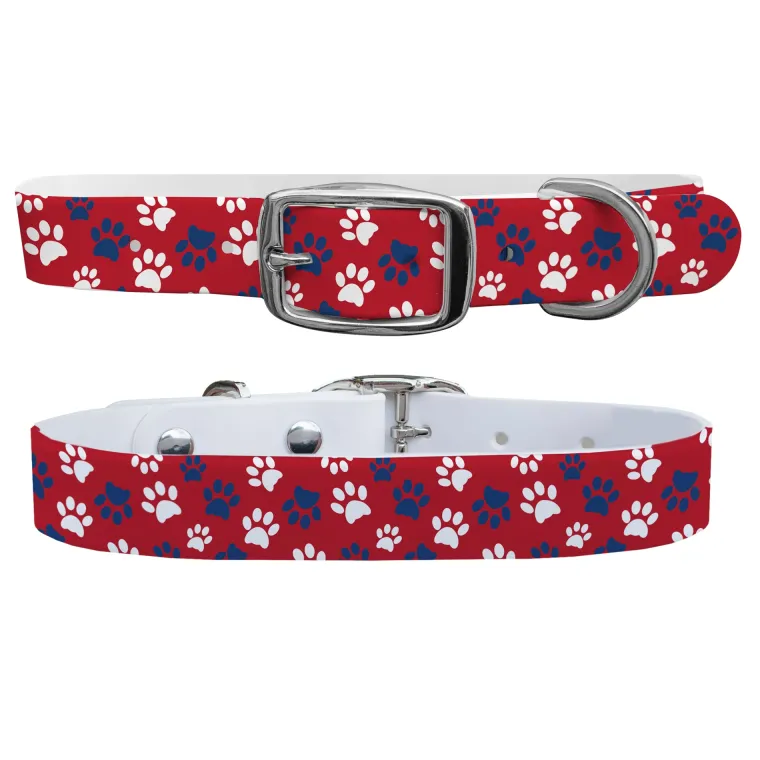 QnzLuyhk_13.webp Fashion SWYFT PRINTS/C4 C4 Dog Collar
