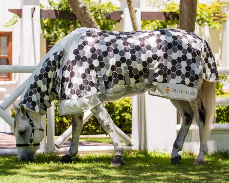 ROBHwswk_6.webp Clearance WORLD EQUSTRN BRNDS Equilibrium Field Relief Fly Sheet White/Black/Grey