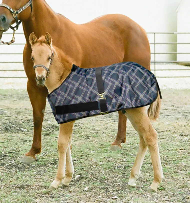 RPKYHBqs_0.webp Discount KENSINGTON ™ Signature Adjustable Large Foal Turnout