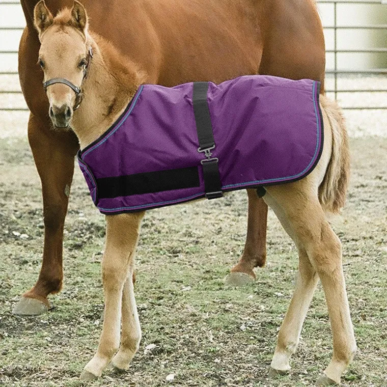 RPKYHBqs_4.webp Discount KENSINGTON ™ Signature Adjustable Large Foal Turnout