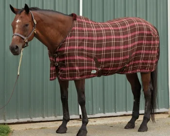 Outlet S.K. EXPORTS Rider’s International™ Stable Sheet