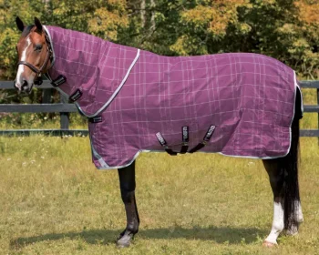 Online HORSEWARE ® Ireland Rhino® Plus Heavyweight Blanket with Vari-Layer®