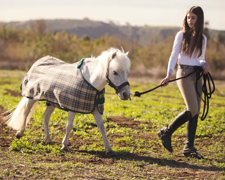 RrdCAEIh_10.webp New KENSINGTON ™ Mini Signature Textilene® Protective Fly Sheet