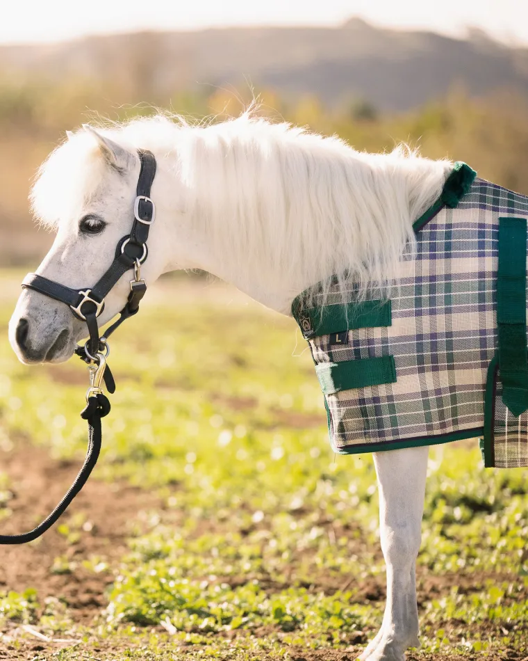 RrdCAEIh_12.webp New KENSINGTON ™ Mini Signature Textilene® Protective Fly Sheet