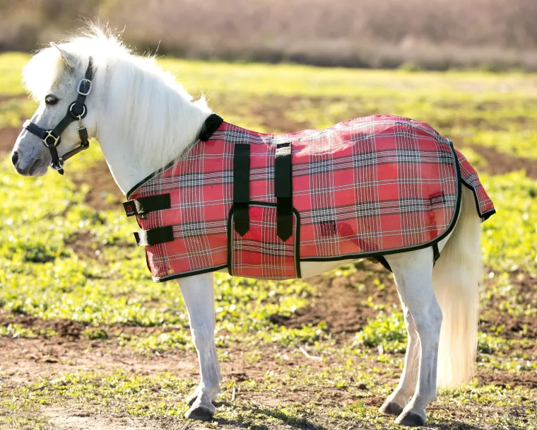 RrdCAEIh_3.webp New KENSINGTON ™ Mini Signature Textilene® Protective Fly Sheet