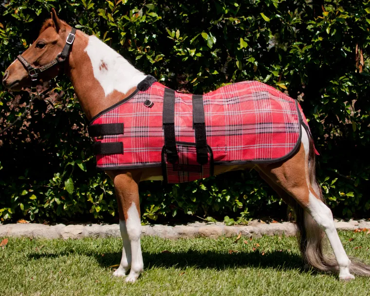 RrdCAEIh_4.webp New KENSINGTON ™ Mini Signature Textilene® Protective Fly Sheet