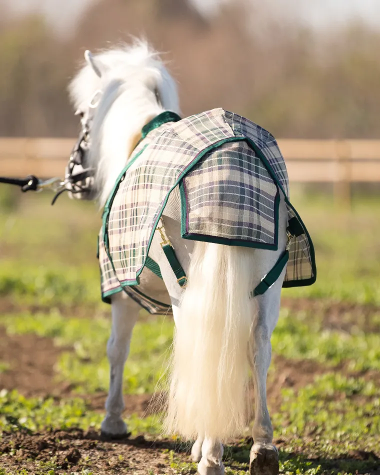 RrdCAEIh_9.webp New KENSINGTON ™ Mini Signature Textilene® Protective Fly Sheet