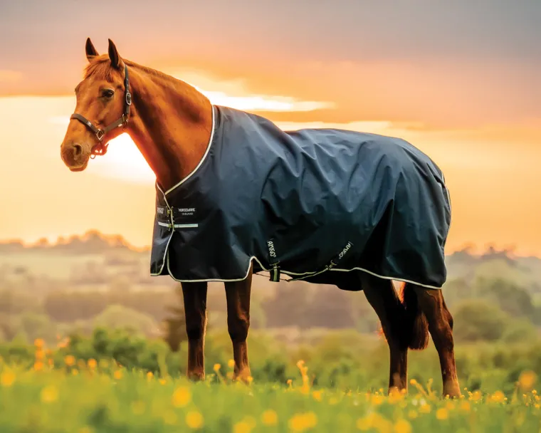 RwAlLAwo_0.webp Clearance HORSEWARE ® Ireland Amigo® Ripstop 900D Standard Neck Turnout Sheet