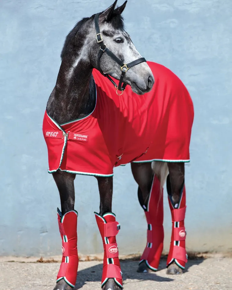 SzNWuCBx_4.webp New HORSEWARE ® Ireland Amigo® Jersey Cooler