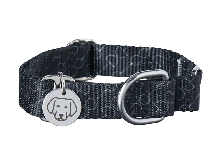 TnUaHiuO_0.webp Best ATTIC INDIA Dover Dog Martingale Collar