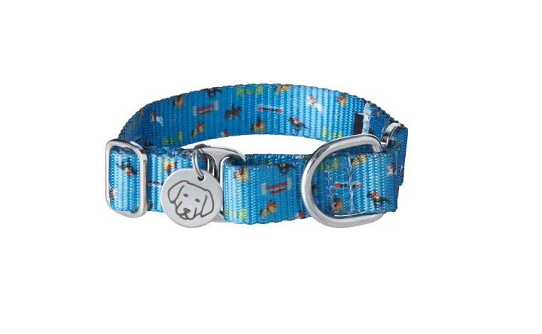 TnUaHiuO_2.webp Best ATTIC INDIA Dover Dog Martingale Collar