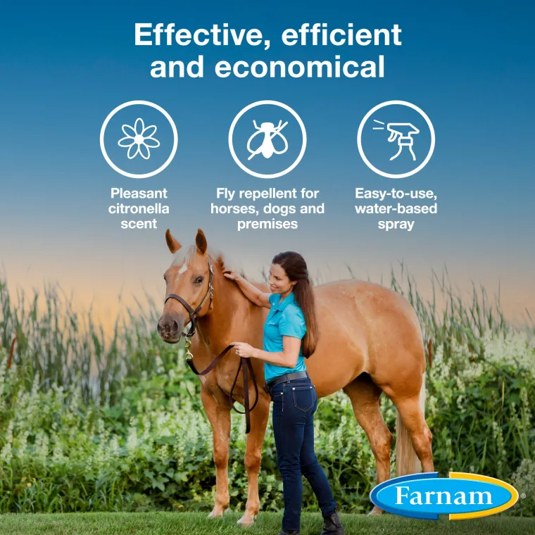 UMQvbsQX_2.webp Online ANIMAL HEALTH INT Farnam® Bronco® E Fly Spray