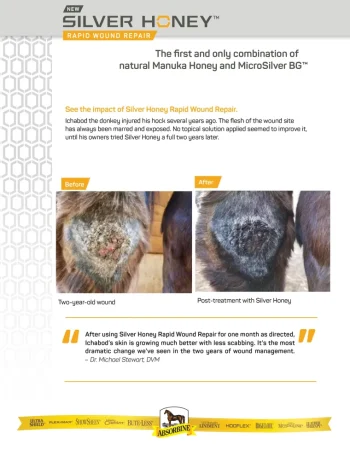 Hot ANIMAL HEALTH INT Absorbine® Silver Honey® Rapid Skin Relief Medicated Shampoo