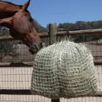 Best KENSINGTON Freedom Feeder Day Net Tan