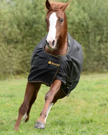 Outlet TOKLAT ORIGINALS Bucas Irish Classic Lightweight Turnout Blanket